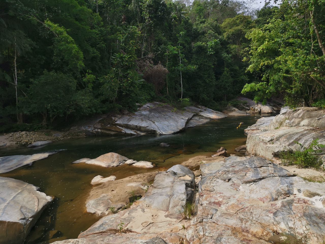 Lost world in forest reserve